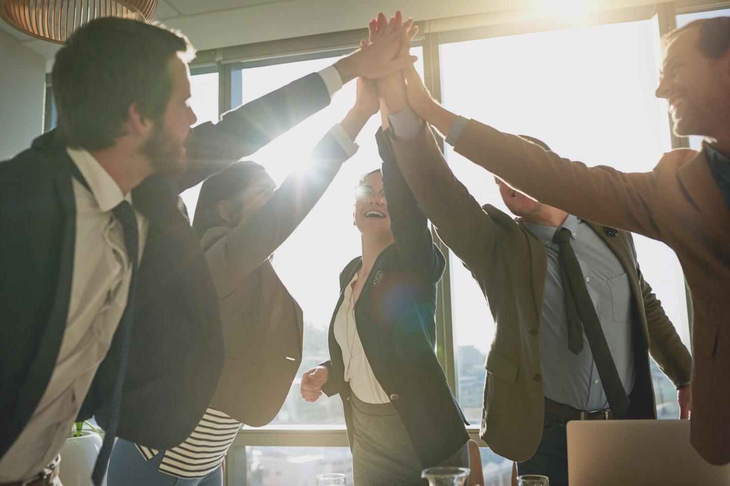 Localisation Zelarivexo à Lille